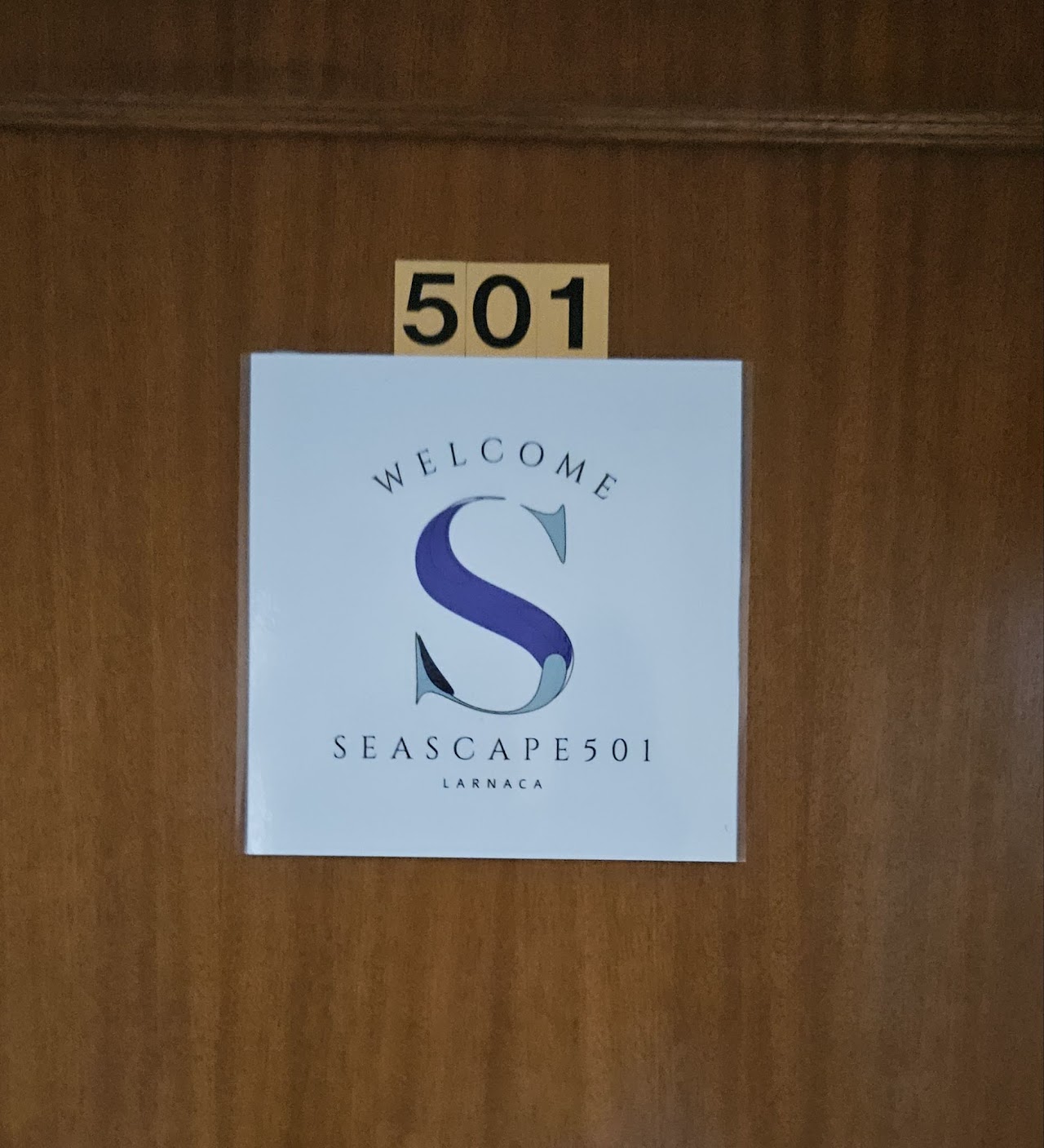 Apartment 501 door